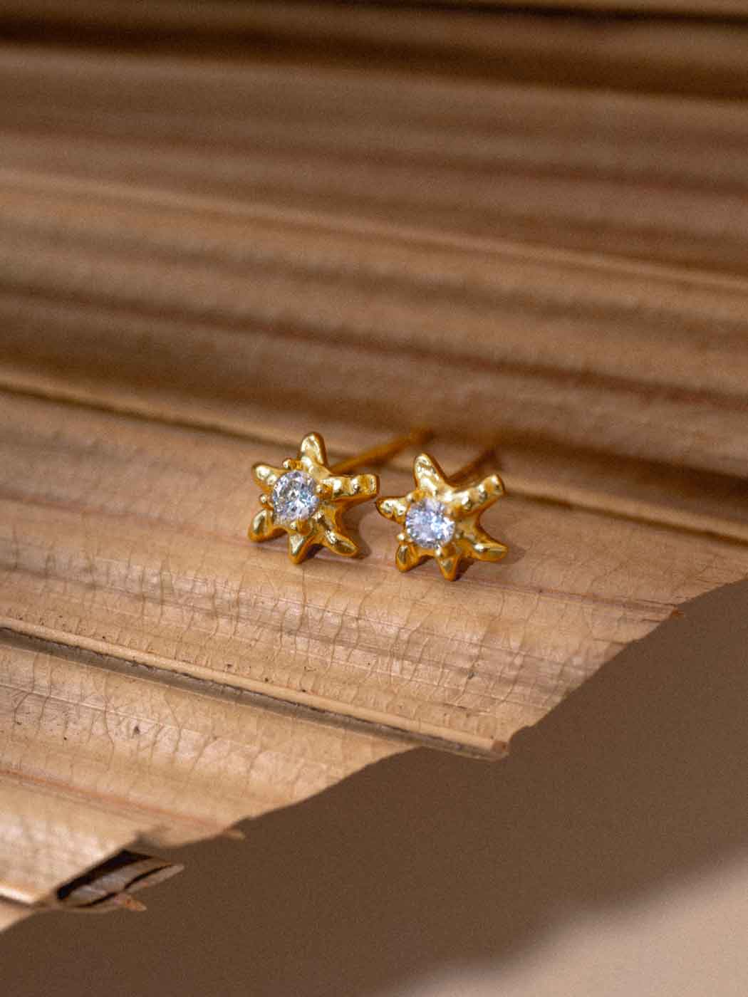ASTER-STUDS-CLOSE-UP