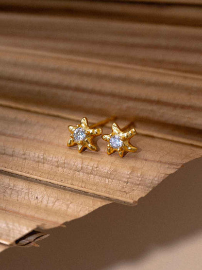 ASTER-STUDS-CLOSE-UP