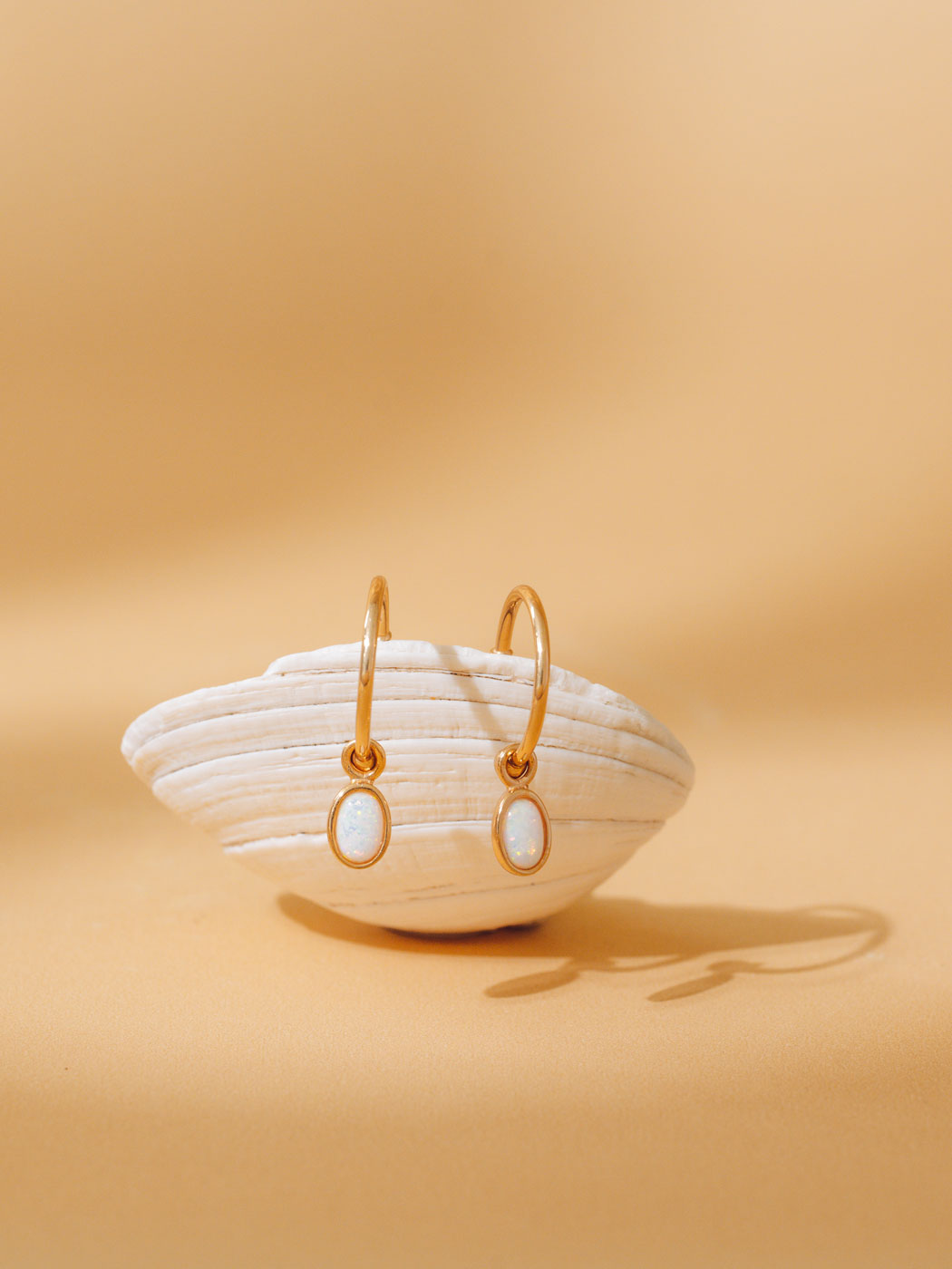 A pair of gold hoop earrings with oval opal inlay, displayed on a white clam shell against a warm beige background.