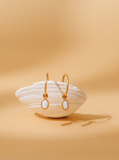 A pair of gold hoop earrings with oval opal inlay, displayed on a white clam shell against a warm beige background.