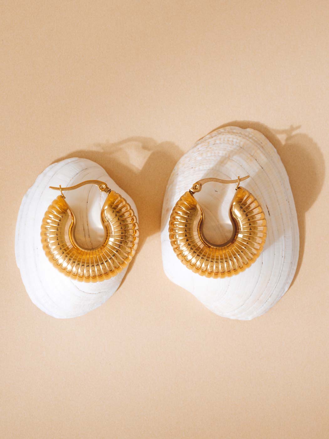 A pair of chunky, coiled gold hoop earrings displayed on white clam shells against a warm beige background.