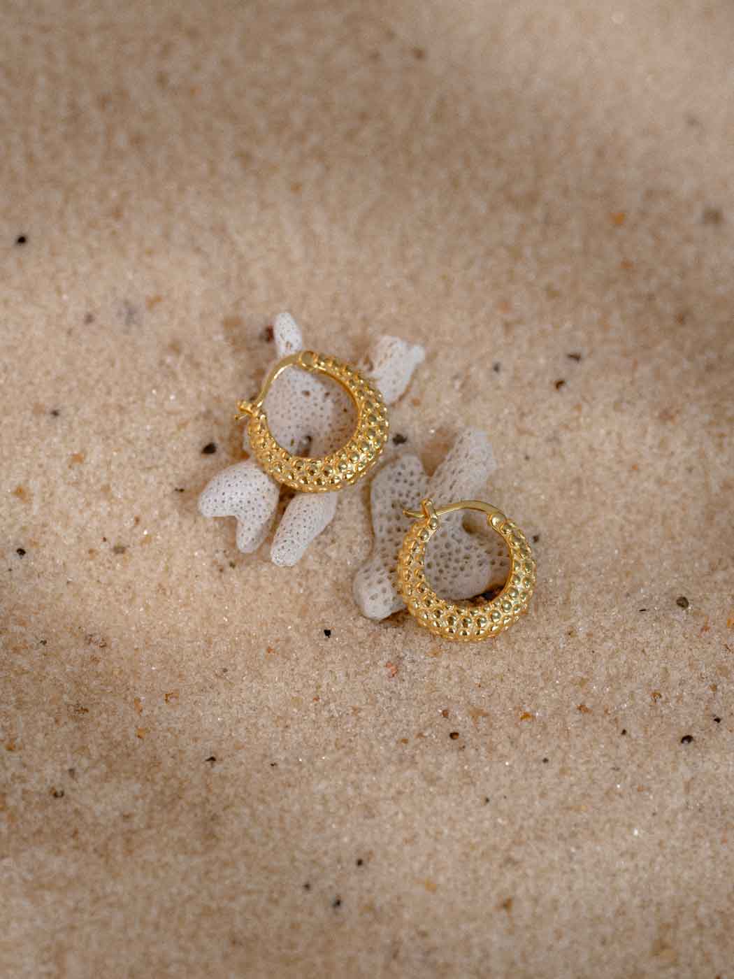 A pair of textured gold hoop earrings resting on white coral pieces over a sandy beige background.