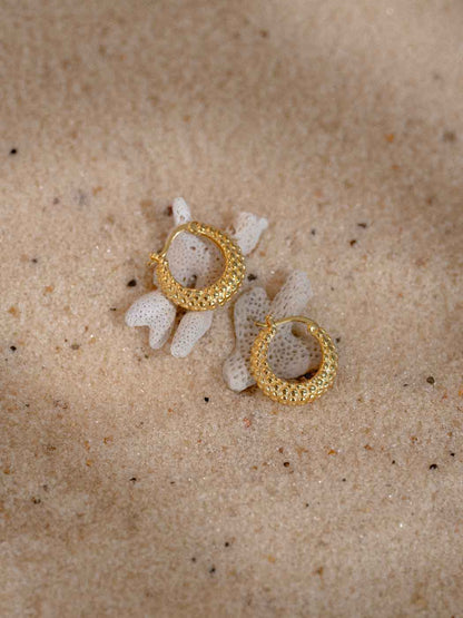 A pair of textured gold hoop earrings resting on white coral pieces over a sandy beige background.