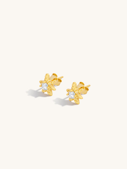 aster-star-diamante-stud