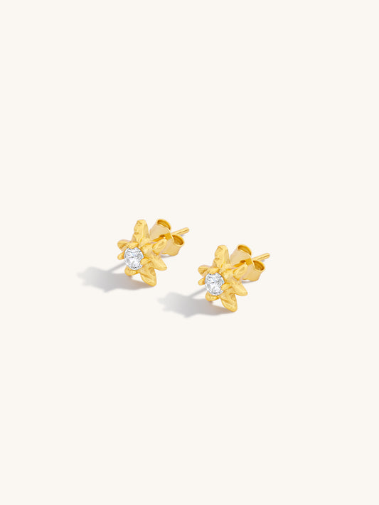 aster-star-diamante-stud