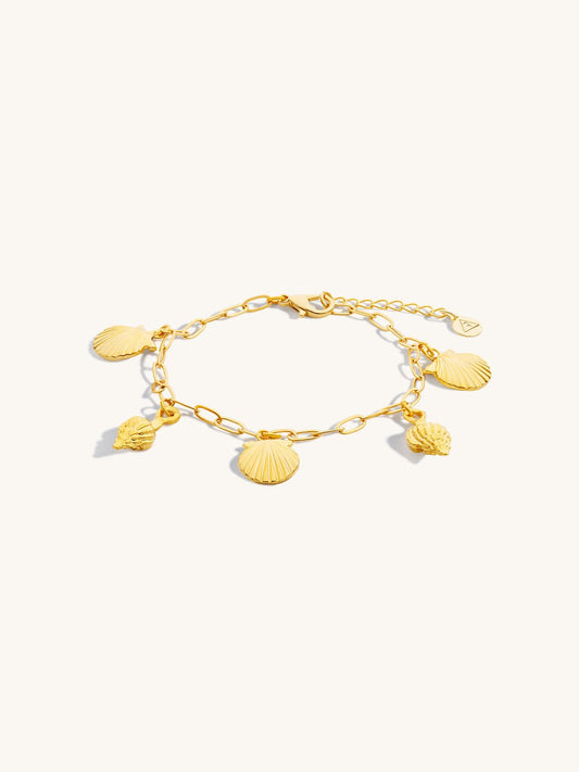 multi-shell-charm-bracelet