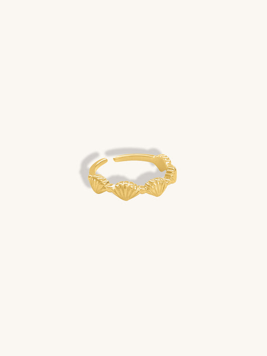 scallop-shell-ring